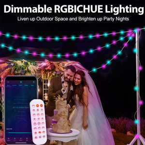 Agent de Traitement des Commandes Shopify Dropshipping 2026 – Guirlande Lumineuse LED Intelligente Connectée Wi-Fi pour Décoration de Fête de Noël - Product Image 2