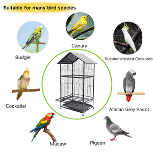 Toptan büyük Metal Birdhouse hareketli evrensel tekerlek tel papağan kafes, geniş Metal kuş kafesi papağan kafesi - Product Image 3