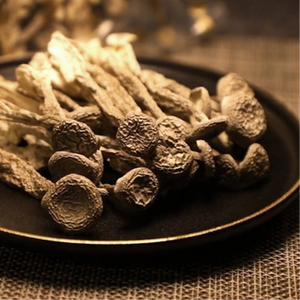 Hochwertiger ganz getrockneter natürlicher Pilosegeweih-Pilz-Samtgeweih-Pilz - Product Image 1