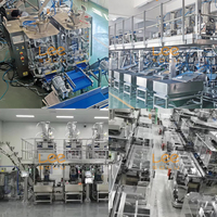 Machines d'emballage automatiques pour aliments pour chiens en sacs PE PET, machines d'emballage pour sachets d'aliments pour animaux de compagnie
