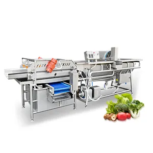 Industrial Eddy Current Washing Machine Cleaning Machine Vortex Type Vegetable Fruit Washer