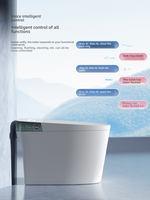 Toilette intelligente de style moderne en céramique avec chasse d'eau automatique, service OEM/ODM, toilette électrique intelligente avec siège chauffant