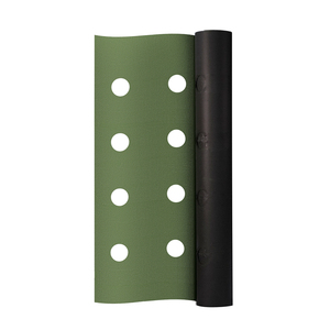 Film de paillage perforé en polyéthylène PE, film plastique à trous perforés sur mesure pour vergers agricoles - Product Image 1