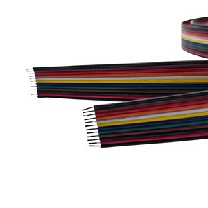 Cabo Personalizado para Computador com Conector Molex Micro-fit 3.0 de 24 Pinos (2x12 Pinos), 1000MM, com Fio Desencapado, PVC e Ponta Estanhada - Product Image 5