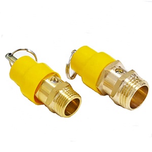 <span class=keywords><strong>Valvola</strong></span> <span class=keywords><strong>di</strong></span> Sicurezza Regolabile con Filettatura 1/8 NPT - Product Image 1