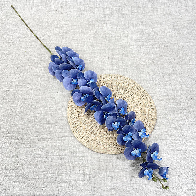 #4 Orchidée 15 Têtes