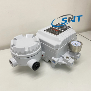YTC YT1000R YT-1000 Électro-pneumatique Rotatif Double Action YT-1000RDN532S13 avec retour d'information - Product Image 6