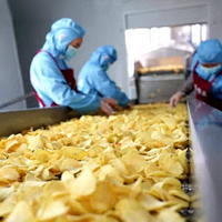 304 RVS aardappelchips verwerkingslijn voor premium dikke aardappelchips met automatisch snijden, frituren en ontvetten