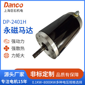 Motor de imán permanente con escobillas Dp 2401h Dc, montaje con brida para equipos mecánicos - Product Image 5