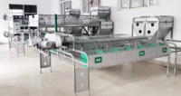 Cages à lapins automatiques de nouvelle conception pour l'élevage commercial, avec nichoir, pour lapines reproductrices
