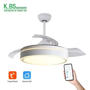 Low Noise Retractable 220 Volts Invisible Modern Ceiling Fan With Led Light