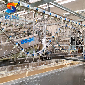 100Bph-3000Bph Planta de Procesamiento de Pollo Halal Musulmán Matanza Máquina de Matar Pollos Equipo para Matadero de Aves - Product Image 2