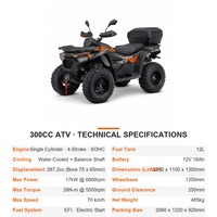 Quad tout-terrain 287CC 4x4, véhicule utilitaire deux places, moteur EFI refroidi par eau, suspension à double bras, UTV tout-terrain