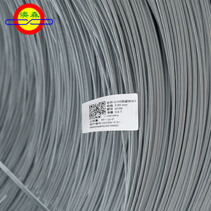 Aosen弾性電気メッキ鉄ワイヤー,クラフト彫刻 - Product Image 2