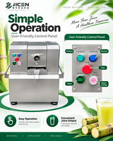 Automatische gemotoriseerde suikerrietpers fruitpersmachine 1,1 kW dubbele spanning 220V/110V JICEN
