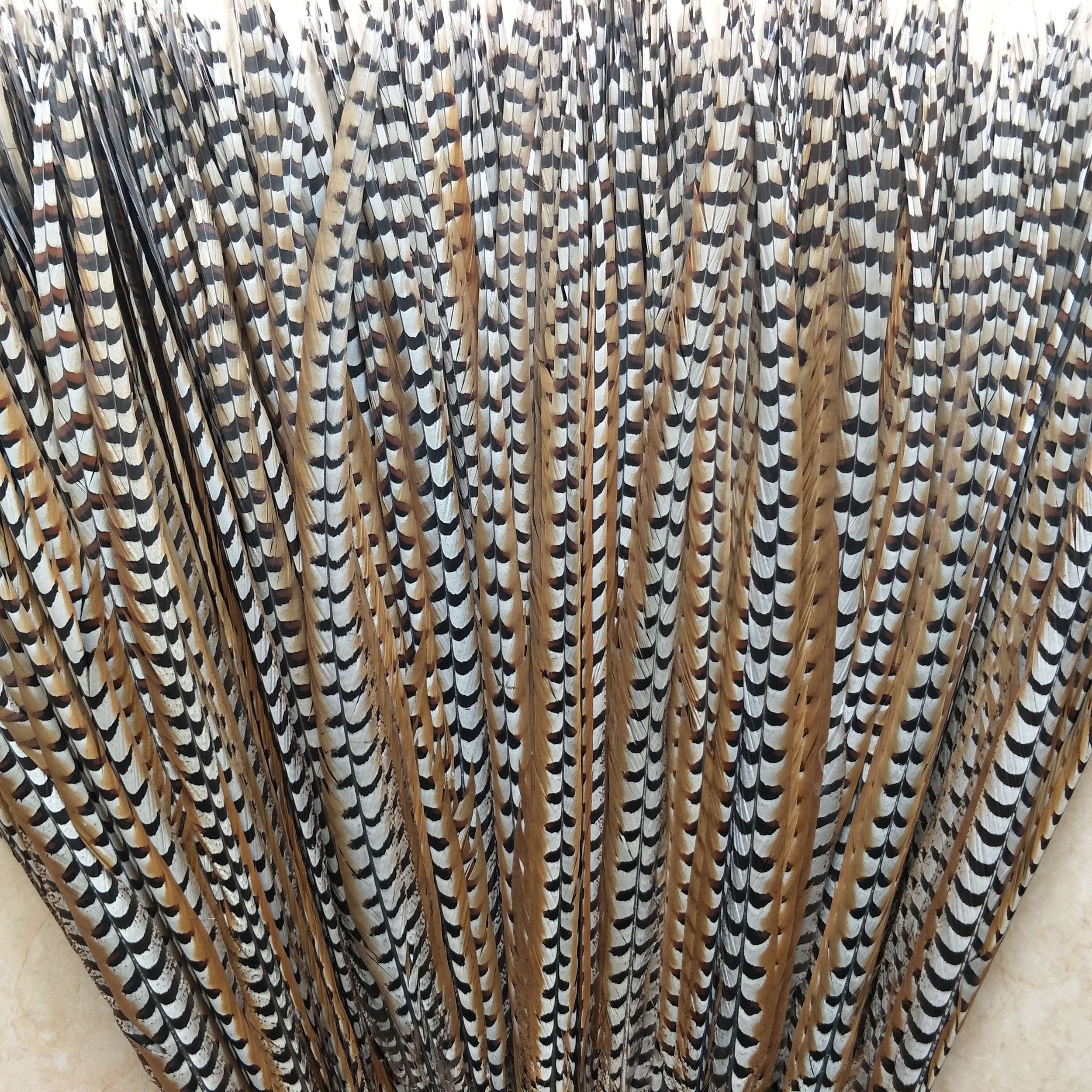 Дешевые длинные натуральные перья 110-120 см, хвост фазана для праздника и карнавала, сценическое украшение