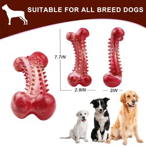 Çevre dostu doğal kauçuk komik tarzı köpek çiğneme oyuncakları köpek kemik oyuncak diş temizleme günlük kullanım için kapalı/açık kullanım köpek oyun Opp - Product Image 4