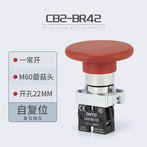 Interrupteur à bouton-poussoir électrique CNTD Changde CB2-BR42 avec voyant lumineux, autobloquant/auto-réinitialisant, 3A max. Courant 12V Max. - Product Image 4