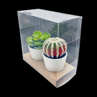 Boîte transparente réutilisable en PVC/PET écologique pour l'emballage de thé, aliments, bougies, plantes en pot et ornements, avec options de gaufrage personnalisables