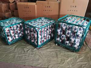 <span class=keywords><strong>Cage</strong></span> <span class=keywords><strong>de</strong></span> <span class=keywords><strong>basket</strong></span>-ball en acier <span class=keywords><strong>de</strong></span> haute qualité, conception gratuite - Product Image 4