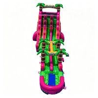 Toboggan aquatique gonflable commercial à double piste avec piscine, motif palmier tropical, pour location événementielle