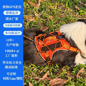 Cross Border Pet Harness Vest Style Led <b>Light</b> Up Waterproof For <b>Dogs</b> Outdoor Use - Product Image 5