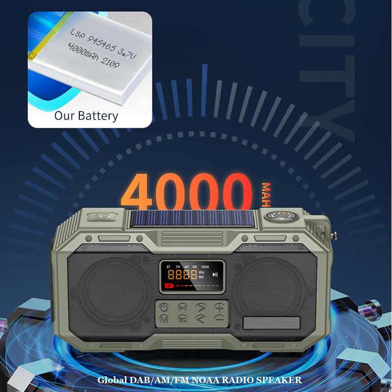 DAB/FM/BT (ติดต่อเราเพื่อรับสี)