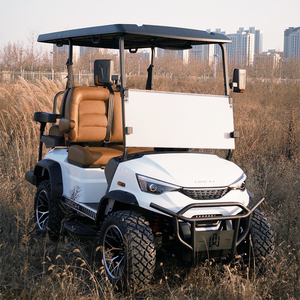 Nuevo Producto: Carro de Golf F11 H2+2, Buggy de Golf de 4 Plazas - Product Image 4