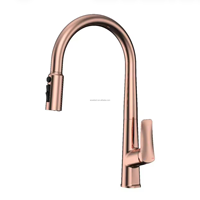 Robinet de cuisine extractible Maestro Spectrum en laiton brossé doré, corps en laiton, valve en céramique Wanhai, purification de l'eau, design moderne