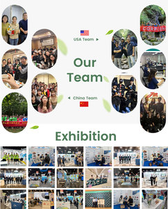 Abd ab depo toptan yüksek kalite rekabetçi fiyat doğal arı polen tozu özü - Product Image 6