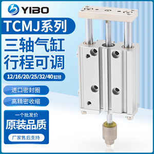 Cylindre pneumatique réglable Tcmj Tclj12 16 20 25 32 40 20 30 50 75 100 15 Série de cylindres à piston à corps en aluminium - Product Image 4