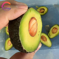 Multifunctionele avocado-halverdeler industriële avocado-halveer- en snijmachine voor fruit- en groenteverwerking