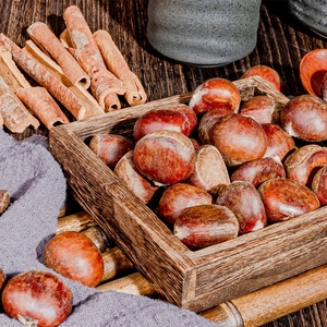 Nuovo di zecca per estratto di cavallo apriscatole aescin fornitore castagne con alta qualità - Product Image 5