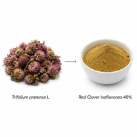 Poudre d'extrait de trèfle rouge en vrac LCHBIO, 40% d'isoflavones HPLC, Trifolium Pratense naturel, extrait de Chine