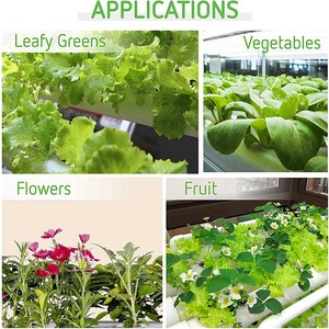 Système de <span class=keywords><strong>culture</strong></span> hydroponique intérieur automatique Planteur de légumes pour balcon familial Pompe d'équipement de <span class=keywords><strong>culture</strong></span> sans sol incluse pour la maison - Product Image 6