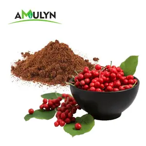 100% Hữu Cơ Schisandra Berry Trái Cây Schisandra Chinensis Chiết Xuất Bột