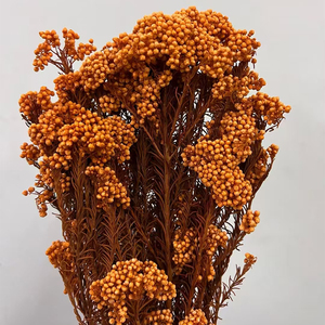 Fleurs séchées naturelles <span class=keywords><strong>bouquet</strong></span> de fleurs de riz éternel conservé <span class=keywords><strong>frais</strong></span> immortel millet fleur décor de fête de mariage décoration de la maison - Product Image 4
