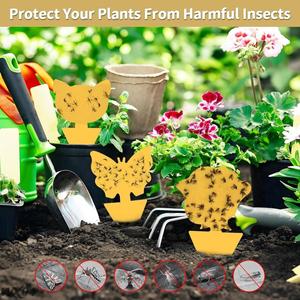 Venta directa de fábrica, trampas adhesivas amarillas, trampas para matar moscas de frutas para insectos voladores <span class=keywords><strong>con</strong></span> diferentes formas - Product Image 3