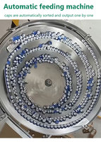 Machine tout-en-un de codage laser pour bouchons de bouteilles en plastique avec laser UV 355 nm, alimentateur vibrant et inspection visuelle