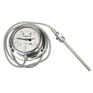 Termômetro Industrial WTQ/WTZ-280 Remoto em Aço Inoxidável 304 Tipo Pressão para Medição de Temperatura de Água e Óleo de Caldeira 0-100C 1 Ano - Product Image 1