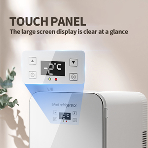 Vente en gros 15L 220v 12v Maison Chambre à coucher Voiture <span class=keywords><strong>Cosmétique</strong></span> <span class=keywords><strong>Pas</strong></span> <span class=keywords><strong>Cher</strong></span> Petit Réfrigérateur <span class=keywords><strong>Mini</strong></span> Réfrigérateur - Product Image 5