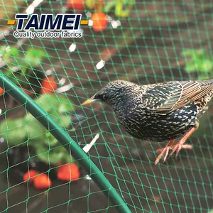 Rede de proteção de plantas de cropped, rede de pássaros plástica hdpe 4x10m, rede de pássaros agrícola