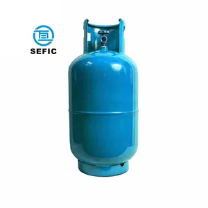 SEFIC 11KG 24L LPG gaz silindiri LPG tankı filipinler için