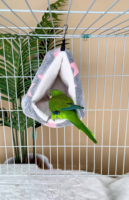 Kleines Haustier Brid Ratte Mini Guinea Bett Haus Eichhörnchen Bett Nest Käfig Weiche Baumwolle Hamster Bettwäsche Warmes Nest Haustier Bett