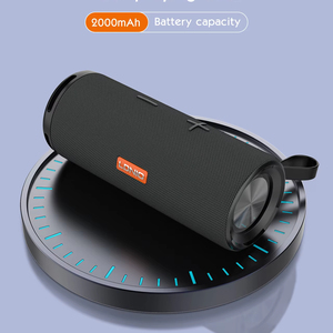 Ldnio bts13 IPX7 Hot Bán không thấm nước TWS RGB ánh sáng BT âm nhạc chơi game ngoài trời không dây Loa di động - Product Image 1