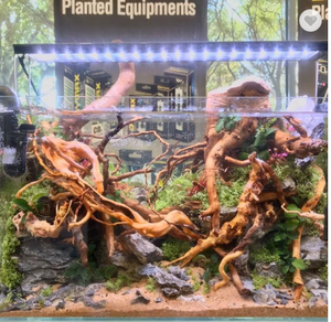 <span class=keywords><strong>Aquarium</strong></span> en bois naturel de haute qualité, joli bois de Drift, pièces racine, Branches - Product Image 2