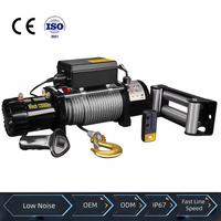 Treuil électrique tout temps pour camion, forte puissance de remorquage, freinage automatique, antidérapant, moteur en cuivre pur 12V 24V DC, revêtement antirouille