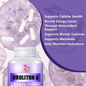 Cápsulas de Urolithin A al por mayor de fábrica, Resveratrol, CoQ10, Niacinamida, Curcumina, Energía Celular, Cápsulas para la Fuerza Muscular - Product Image 5