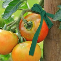 C84 plantes grimpantes arbres 98 pieds jardin Support cravate vert tomate extensible plante Support cravate jardin ficelle plante cravates