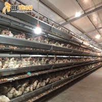 Cage à poules pondeuses, élevage avicole, poulailler pour le Nigéria, la Tanzanie, le Sénégal